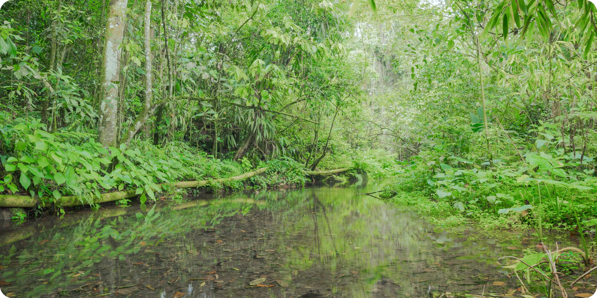 Quebrada Los Cristales, fuente hídrica que abastece a Santandercito
